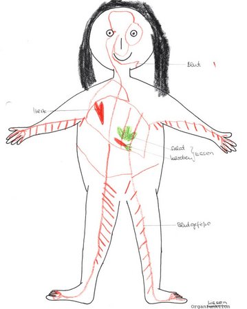 So stellt sich ein sechsjähriges Mädchen das Verdauungssystem vor. Die Schemafigur ist Teil einer Studie von Prof. Annette Schneider im Jahr 2012.